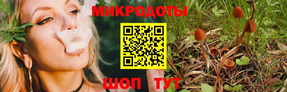 Ртищево  где купить наркоту  Вход с VPN  Псилоцибиновые грибы Psilocybine cubensis 