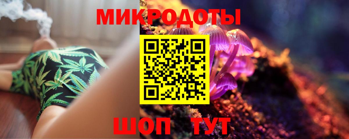 Галлюциногенные грибы Psilocybine cubensis Ртищево